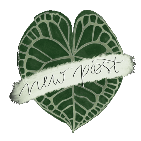 kitty_van_trash giphyupload new post newpost leaf Sticker