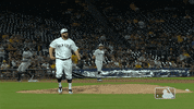 Regular Season Sport GIF by MLB