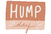 Wednesday Hump Day Sticker