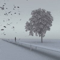 Denkiry art animation sky c4d GIF