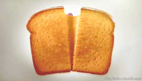 Grilled Cheese Meme GIF