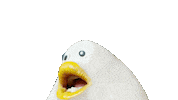 iyomtmt scream screaming puu きゃー Sticker