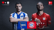 Wecbl GIF by Bundesliga