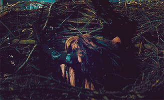 cant be tamed GIF