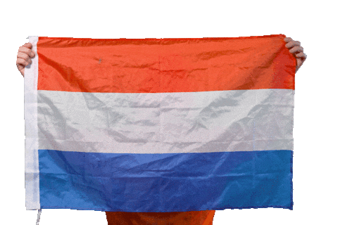 Nederlands Elftal Ek Sticker by Immer Hansi