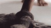 Circle Of Life Dancing GIF by Woodblock