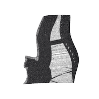 Black Cat Sticker by jorgemariozuleta