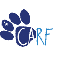 Curacao Korsou Sticker by Ludic-curacao