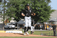 SouthernMissAthletics baseball lets go pitcher golden eagles GIF