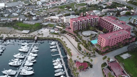 petos21 giphyupload GIF