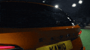Dogs Kamiq GIF by ŠKODA UK