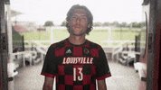 University Of Louisville Go Cards GIF by Louisville Cardinals
