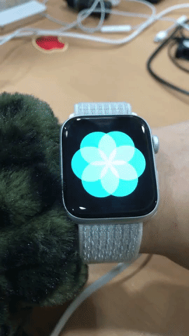 Animated GIF