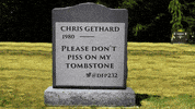 the chris gethard show tombstone GIF by truTV