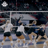 Happy Kentucky Wildcats GIF by NCAA Championships