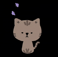 mutsuxx  GIF