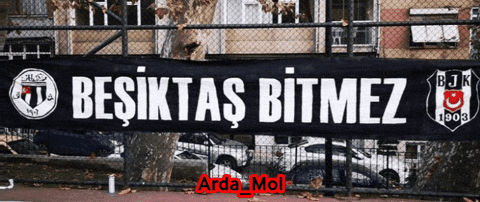 Beşiktaş GIF