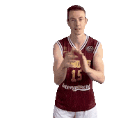 limogescsp1929 bcl csp lang limoges Sticker