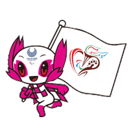 Sport Paralympics Sticker by nocazerbaijan_