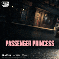 Battle Royale Battlegrounds GIF by Official PUBG MOBILE