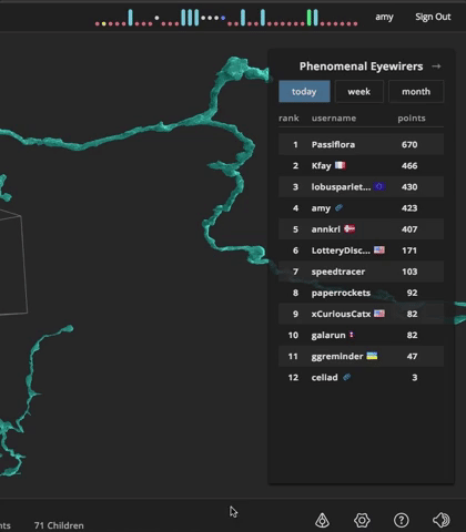 eyewire beta testing GIF