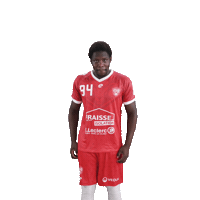 Vdhb Sticker by Valence Drôme Handball