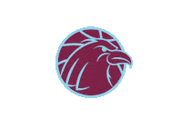 Eagle Ae Sticker by Arnhem Eagles