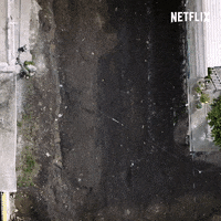 season 1 mexico GIF by NETFLIX