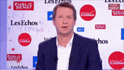 2022lecologie ah eelv jadot primaire GIF