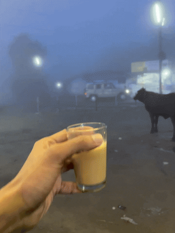 muktharep tea teatime GIF