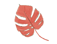 Palm Leaf Sticker by cristycrossphoto