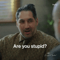 Are You Dumb Fx Networks GIF by English Teacher FX