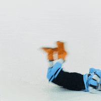 PelicansFi dance hockey mascot ice hockey GIF