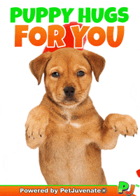 PetJuvenate petjuvenate henlo hooman fren love rescue dogs treatos and woofer for pupper GIF