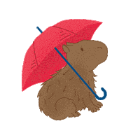 Rain Weather Sticker by O Que Fazer Curitiba