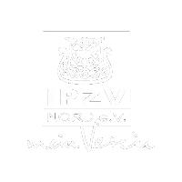ipzvnord pony mein verein islandpferd tolt Sticker
