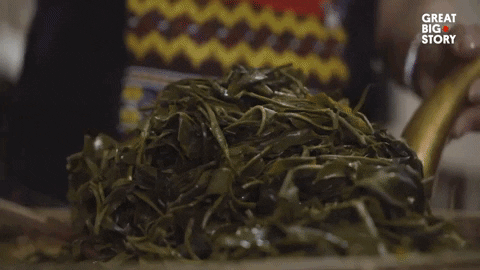 GIF by Great Big Story