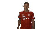 happy fc bayern Sticker by Bundesliga