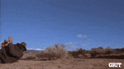 Fall Fail GIF by GritTV