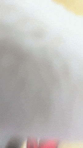 Happy Hotel GIF by Youtooz