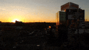 Palibex pale transporte logistica camión GIF
