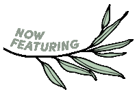 knowyourneighbour koala support local support small gifs tsi Sticker