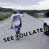 See You Later Gta GIF