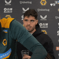 Premier League Football GIF by Wolves