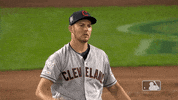 Regular Season Sport GIF by MLB