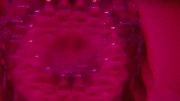 The Optimist Worst Enemy GIF by Evie Irie