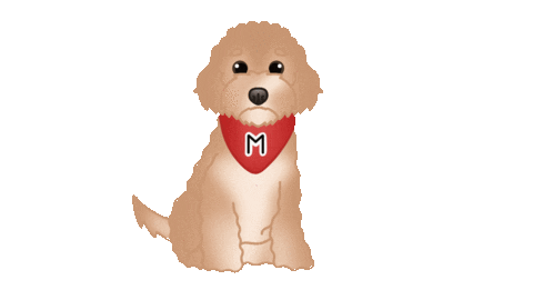 Cute Dog Goldendoodle Sticker by zoopeez
