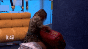 gran hermano travel GIF by Mediaset España