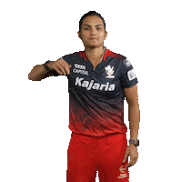 Happy Dance Sticker by Royal Challengers Bangalore