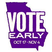 Voting Stacey Abrams Sticker by OneGeorgia